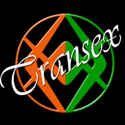 www.transexancona.it